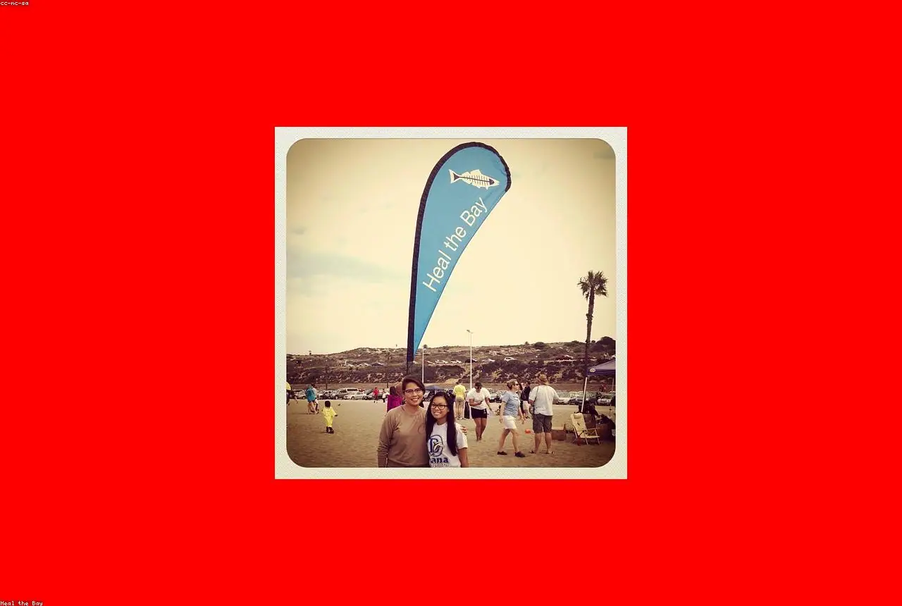 A group of volunteers at a shoreline cleanup